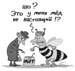 Как определить натуральность и качество мёда?