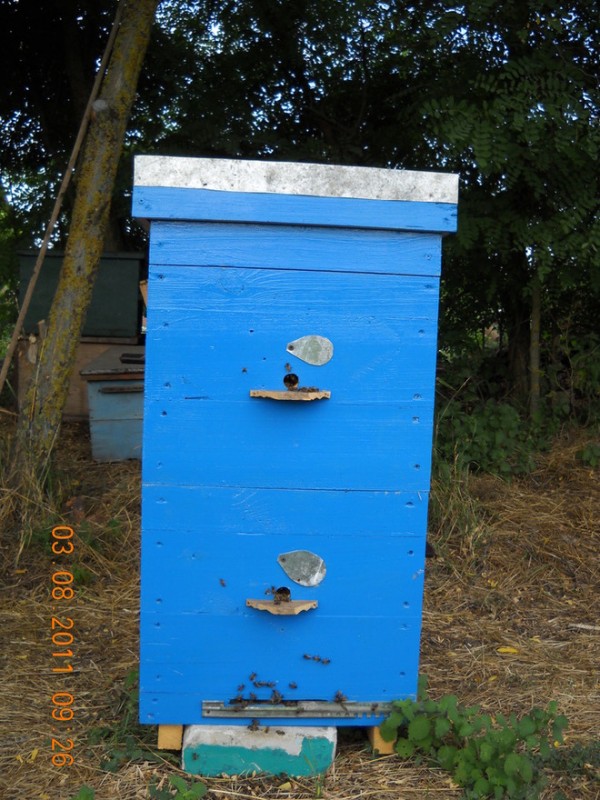 2-ух корпусной улей. Самодельный.