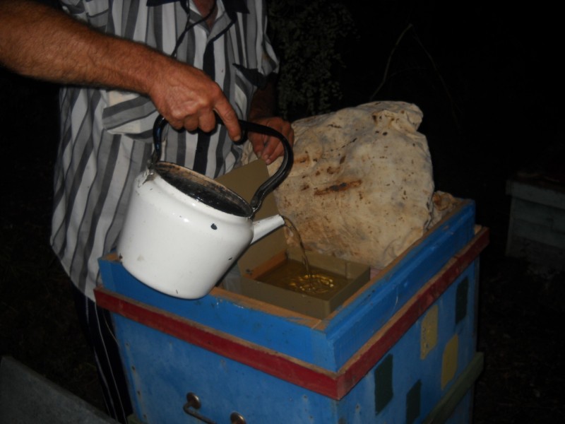 Кормление перед зимовкой