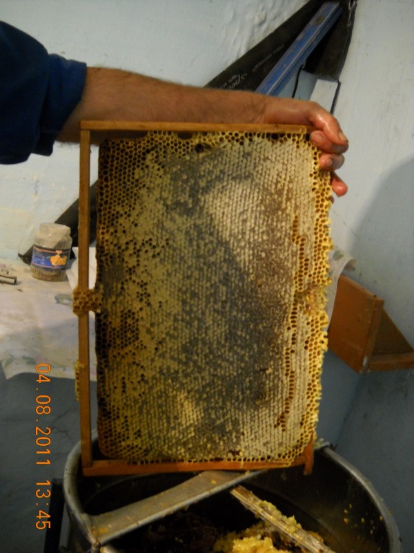 Рамка с медом